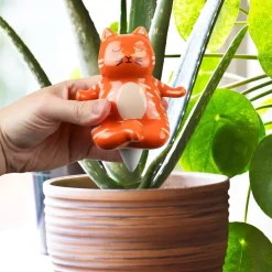 Yoga kat waterdruppelaar